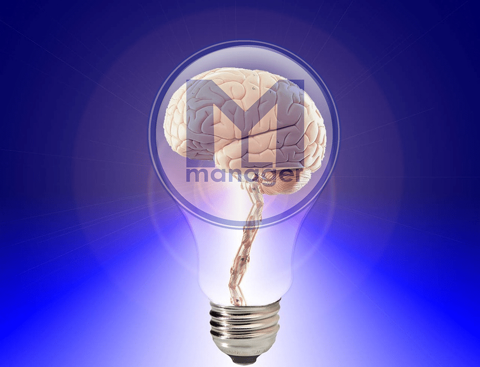 Management comme science